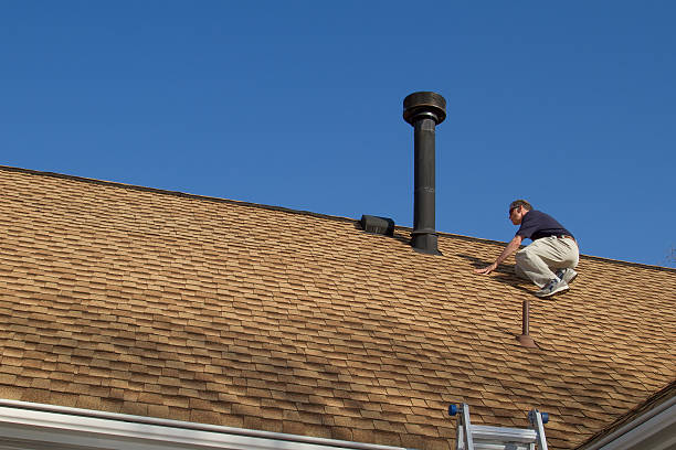 Best Roof Maintenance and Cleaning  in Leland Grove, IL